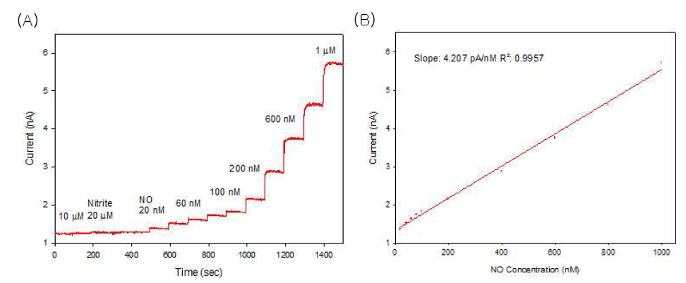 친유성 투과막을 도입한 전극에서 NO에 대한 (A) 감응곡선 및 (B) 검정곡선