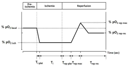 심근허혈-재관류시 pO2 변화량 분석을 위한 파라미터