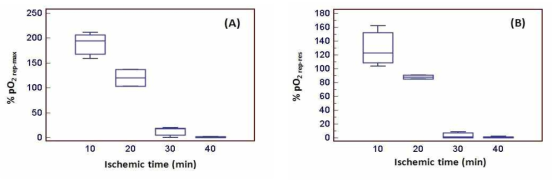 Ischemic time에 따른 재관류시 (A) oxygen tension의 maximum 과 (B) restoration값에 대한 box-and Whisker graph