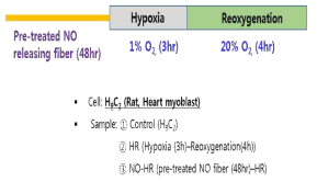 NO에 의한 심근 세포보호 효과 평가 실험 개략도