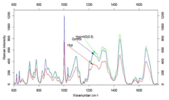 NO 세포보호 효과의 라만분광분석