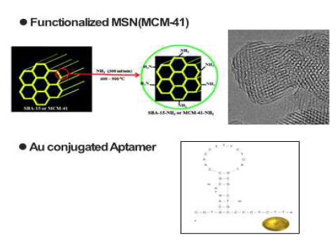 Troponin I 압타머가 부착된 Mesoporous Silica Nanocarrier의 제작