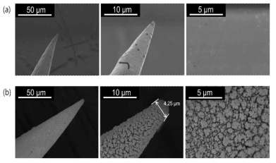 원뿔형 마이크로센서의 SEM 이미지: (a) 백금도금 전, (b) 백금도금 후