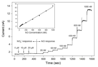 친유성 투과막을 도입한 전극에서 NO에 대한 감응곡선 및 검정 (inset)