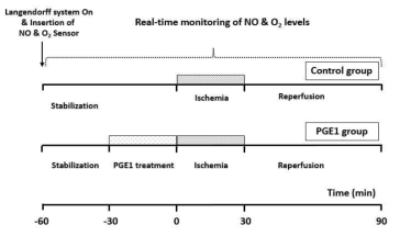 PGE1 약물효과 평가를 위한 심근 허혈-재관류시 NO/O2 실시간 동시관찰 실험 개략도