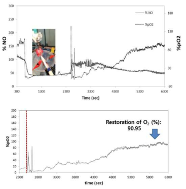 NO/O2 센서를 이용하여 NO 전달체 처리 후 심근허혈-재관류 유발에 따른 산화질소와 산소의 변화에 대한 실시간 측정결과