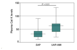 안정형 협심증 환자와 불안정형/심근경색증 환자에서 혈중 CatK의 Box plot 비교