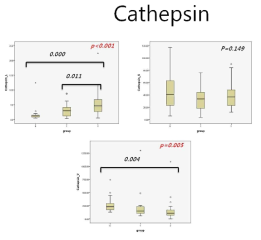 경동맥 동맥경화반의 유무, 신생혈관형성 정도와 혈중 cathepsin L,S,V와의 연관성