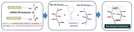 Dex-Ant34a TnI Aptamer 합성 스킴