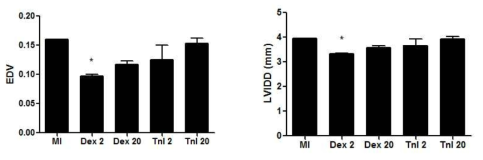 Nanogel 전달체 및 Troponin I aptamer 에 의한 심근경색 치료 연구