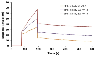 cardiac Troponin I와 항체와의 결합 확인