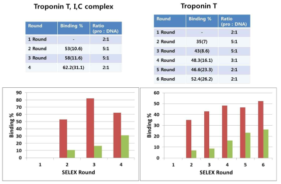 Troponin complex 및 Troponin T에 대한 압타머 개발을 위한 SELEX