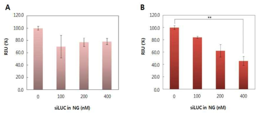 Dex-ss-siLUC 나노젤 (A)과 Dex-ss-siLUC/DUP-1 나노젤 (B)의 gene silencing 효율 평가