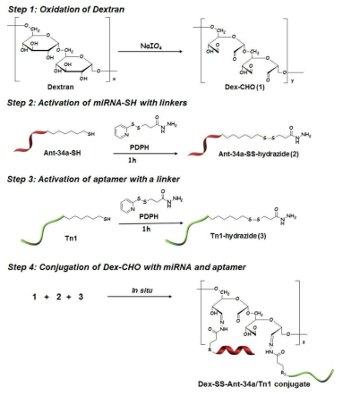 표적 압타머와 miRNA가 도입된 덱스트란의 합성 스킴