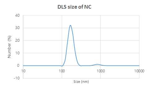 DLS를 통한 나노 구조체의 크기 측정