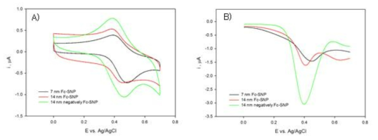 전기화학적 활성을 갖는 실리카 나노입자의 전기화학적 특성: A) 순환 전압 전류도 B) 네모파 전압 전류도