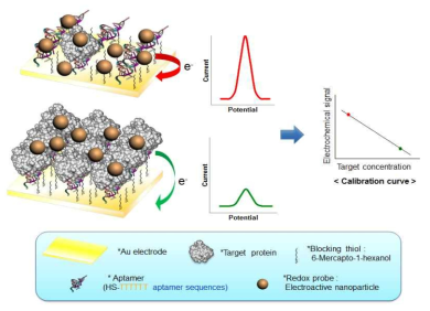 페로센(ferrocene)이 도입된 실리카 나노입자를 이용한 비표지 방식의 압타머 센서 감응원리