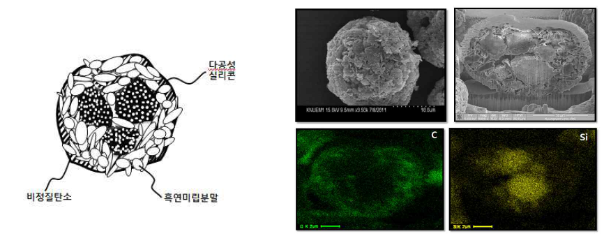 다공성 실리콘/탄소 복합체 분말의 모식도 및 SEM 및 EDX images