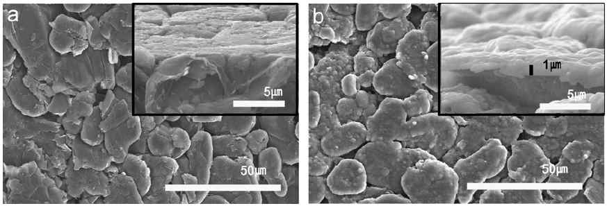LiPON 이 코팅된 전극의 FE-SEM 이미지; (a) 코팅전, (b) 코팅후