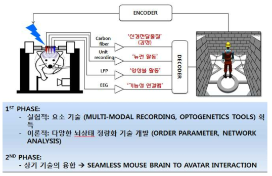 1단계에서 구축한 광유전학적 뇌자극 및 멀티모덜 뇌측정기술을 결합하여 2단계에서 마우스-아바타 인터랙션을 실현하는 데 활용