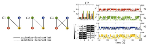 네 개의 영역으로 이루어진 군집 모델로서 영역 간의 다양한 연결 패턴을 볼 수 있음. 그 중 하나의 패턴(C2)에 대해서 각 영역의 신경활동을 관찰하고 영역 간의 상관관계 매트릭스도 확인함