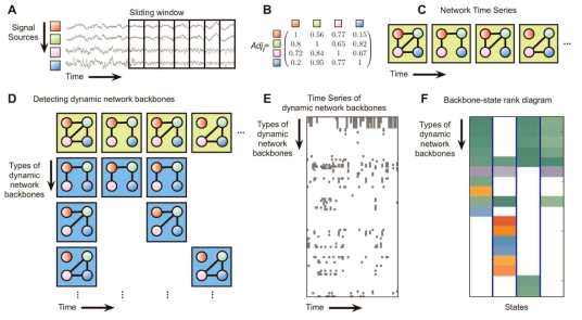EEG 시계열 데이터로부터 동적 네트워크의 뼈대(backbones)를 추출하는 과정의 모식도. (a) 시계열을 작은 창(window)로 나눔.(움직이는 window 방법을 사용) (b) 각각의 창에서 시차(time lag)이 0인 평균 위상 결맞음(mean phase coherence)이나 Pearson 연결 계수(Pearson correlation coefficient)를 계산하여 이웃 행렬(adjacency matrix)을 만듦. (c) 동적 네트워크 시계열을 만듦. (d) 동적 네트워크 뼈대를 찾음. 이,동적 네트워크 뼈대를 통해, (e) 동적 네트워크 뼈대의 시계열을 그리고, (f) 순서 상태 모식도(rank-state diagram)를 표현함