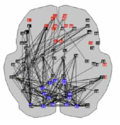 Stam et al. Neuroimage 2002