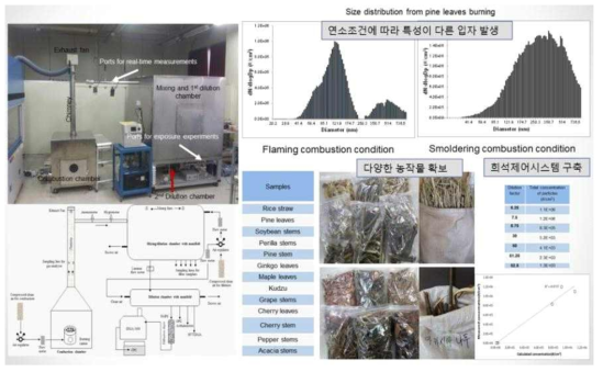 다양한 바이오매스 연소 및 희석 시스템 구축