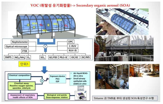 2차 생성 초미세먼지(SOA) 발생 및 제어 시스템