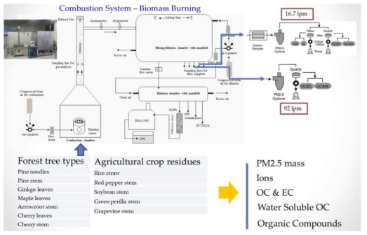 바이오매스 연소 시스템과 측정 화학적 성분 항목