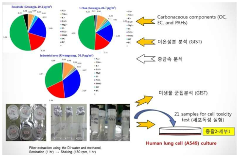 실제 대기 중의 초미세먼지 화학성분 분석결과 및 추출 후 연계연구