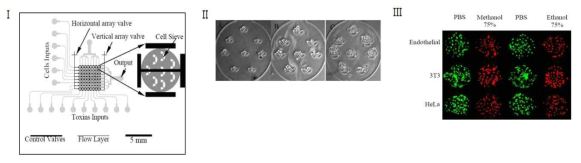 microsieve를 이용한 세포 포획 기술. I) microsieve가 형성된 세포 배양 미세유체 기반 랩온어칩, II) 다양한 크기의 microsieve에 의한 세포 포획 사진, III) microsieve 형성 바이오센서를 이용한 세포 독성 실험 가능성 테스트 (Wang et al., 2008)