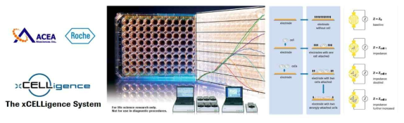 임피던스 측정이 가능한 전극이 있는 96 well plate를 이용한 신경세포의 약물독성평가 키트 (S. Diemert et al, 2012)