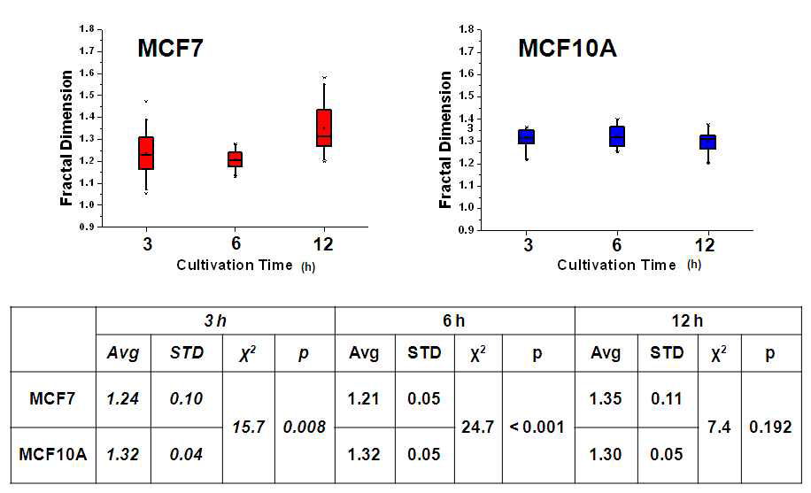배양시간에 따른 암세포(MCF7)와 정상세포(MCF10A)의 프랙탈 차원 분포 및 상관관계(카이 스퀘어 테스트)
