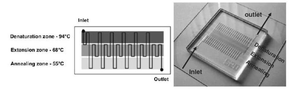 DNA 증폭용 PCR chip 구조도 및 광학현미경 사진(오른쪽)