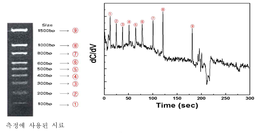 base pair수에 따른 DNA 전기영동 결과 (왼쪽) 및 정전용량 센서 측정 결과