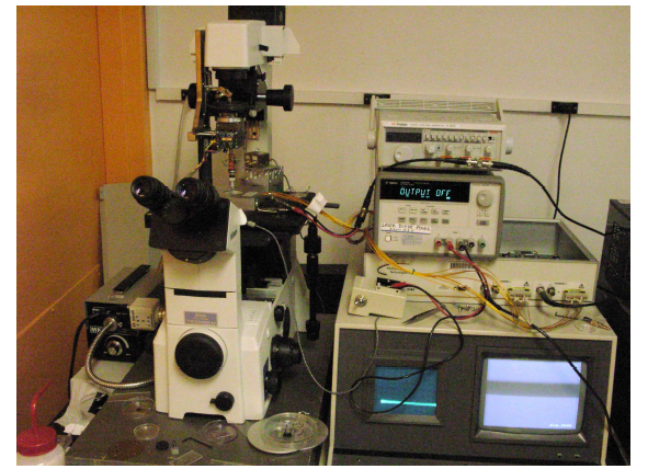 개조된 Far-field scanning acoustic microscope
