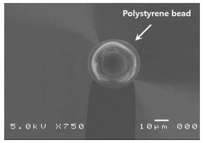 직경 35um polystyrene bead가 부착된 캔틸레버 SEM 이미지