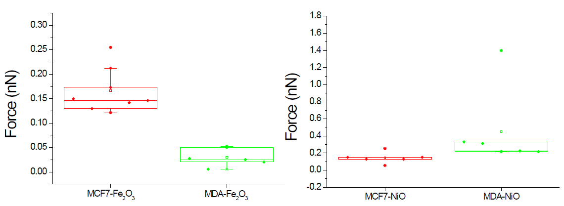Fe2O3(왼쪽), NiO(오른쪽) 나노입자에 대한 MCF7, MDA 세포의 결합력 비교