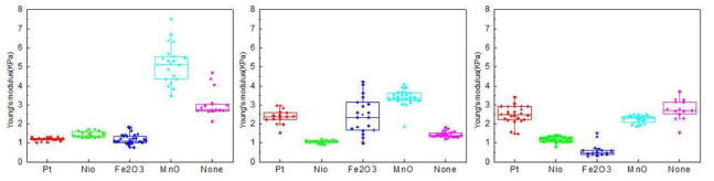 세포 주별 코팅된 나노 입자 종류에 따른 탄성도. (a) MDA, (b) MCF10A, (c) MCF7
