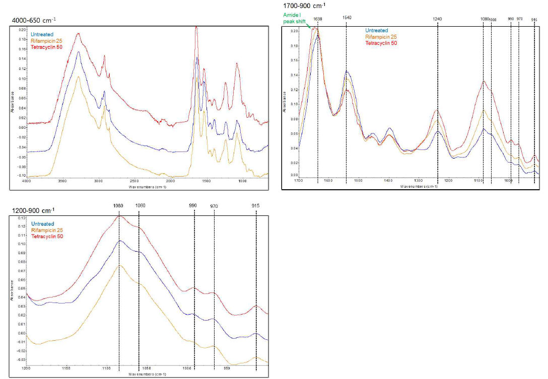 FT-IR spectra from P. aeruginosa treated with antibiotics