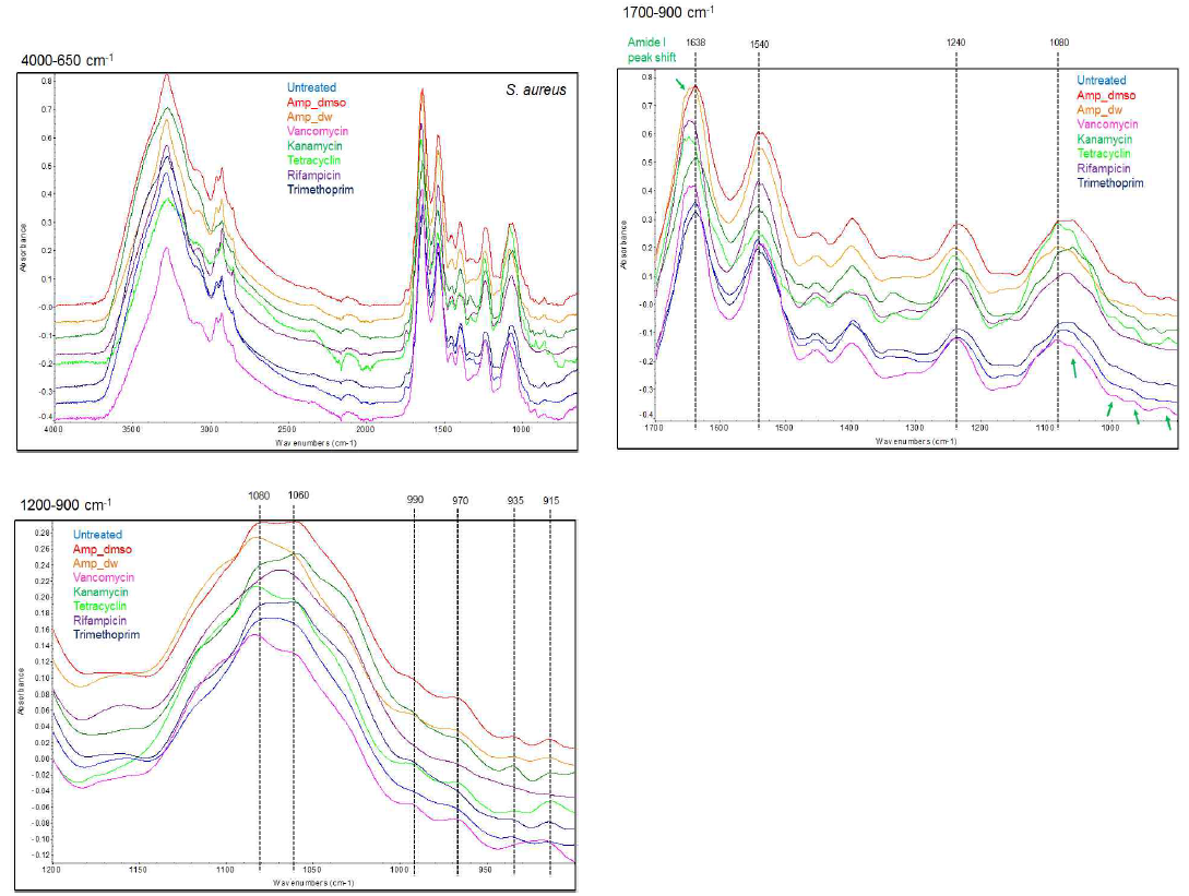 FT-IR spectra from S. aureus treated with antibiotics