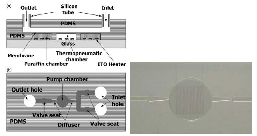 마이크로 펌프와 밸브가 집적된 채널 구조도 및 광학현미경 사진(오른쪽)
