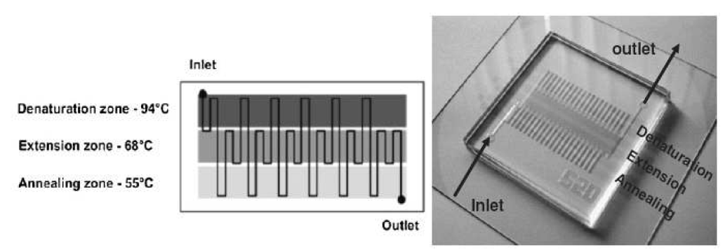DNA 증폭용 PCR chip 구조도 및 광학현미경 사진(오른쪽)