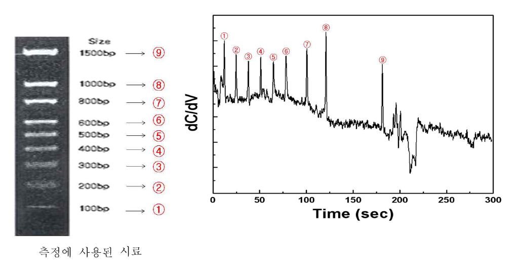 base pair수에 따른 DNA 전기영동 결과 (왼쪽) 및 정전용량 센서 측정 결과
