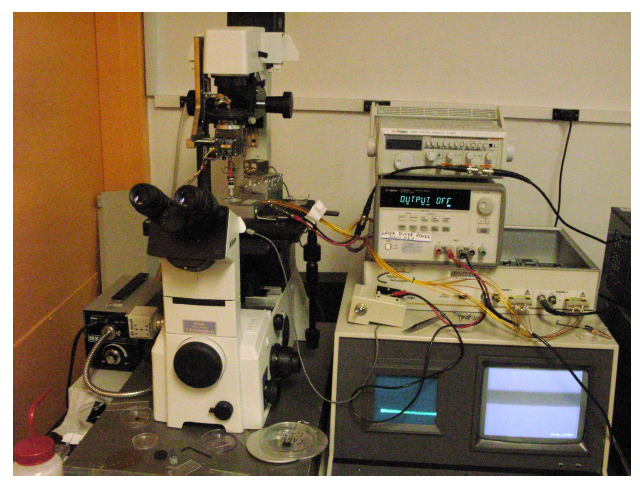 개조된 Far-field scanning acoustic microscope