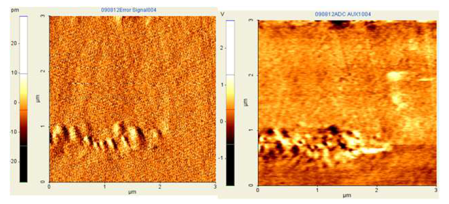 내부 결함이 있는 유리 표면 AFM 이미지(좌)와 acoustic 이미지(우)