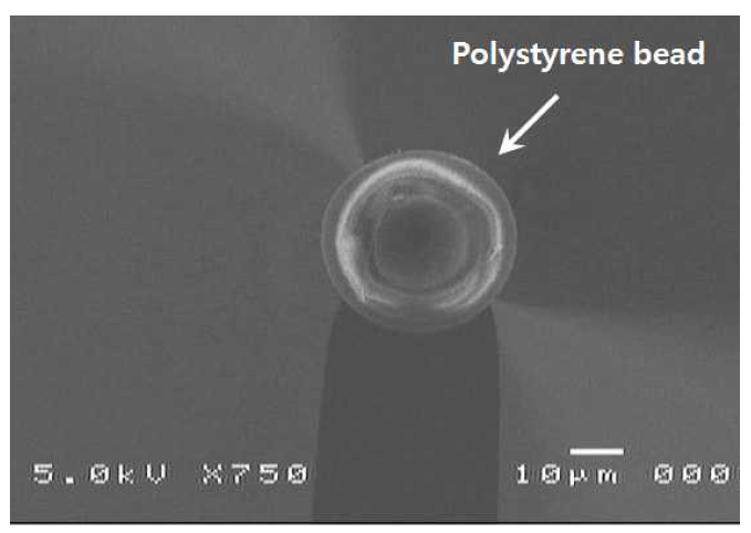 직경 35um polystyrene bead가 부착된 캔틸레버 SEM 이미지