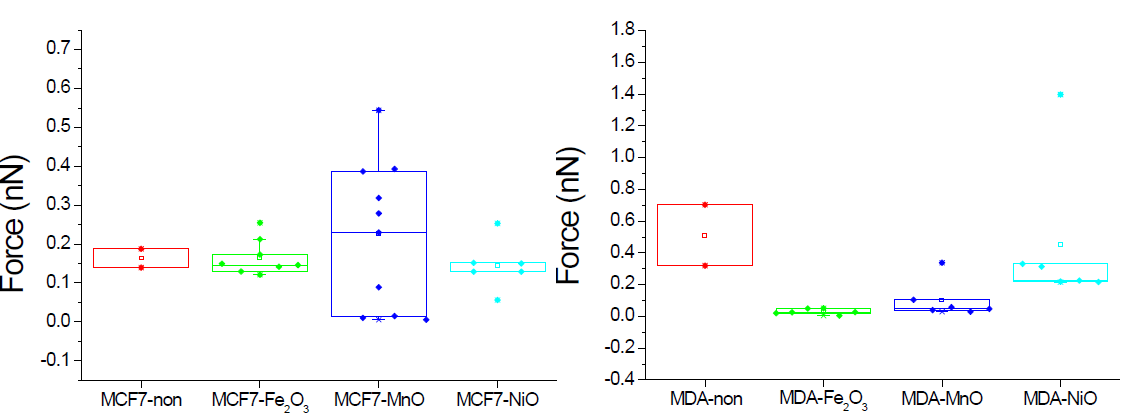 MCF7과 MDA의 나노입자 종류에 따른 결합력 비교