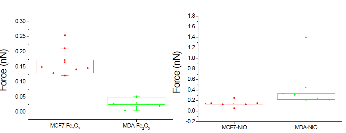 Fe2O3(왼쪽), NiO(오른쪽) 나노입자에 대한 MCF7, MDA 세포의 결합력 비교